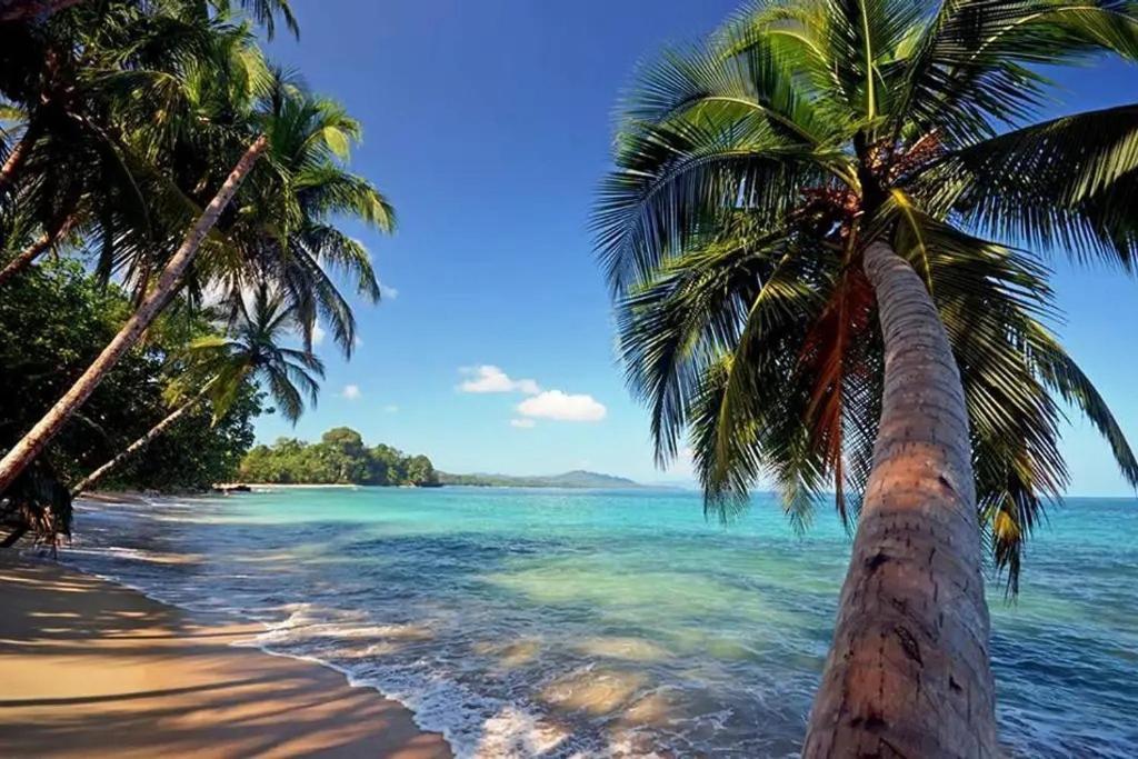 Puerto Viejo de TalamancaRoca Mar Rocawelch Puerto Viejo公寓式酒店 外观 照片